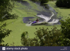 mujer-monta-un-jet-ski-en-una-cala-de-milford-lake-kansas-que-tiene-un-gran-crecimiento-exagerado-de-algas-x1bk50