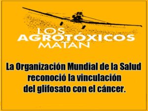 Sociedad Argentina de Pediatría y OMS reconocen que los fitosanitarios son AGROTÓXICOS
