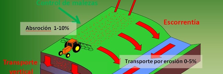 Figura 1: Principales formas en que un agroquímico puede convertirse en contaminante del ambiente (Martini, P. 2008). Tomado de Hang (2010).